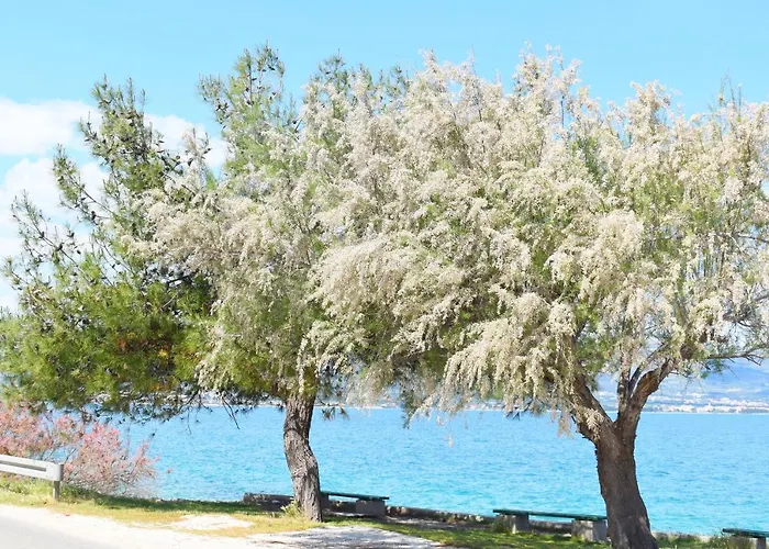 Madu --- Entire Private With Jacuzzi * Trogir